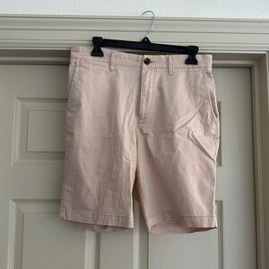 Goodfellow & Co Men's Pink Linden Shorts